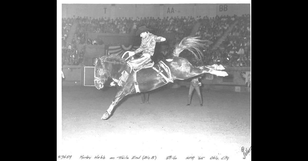 Trails End, aka "Dexter"