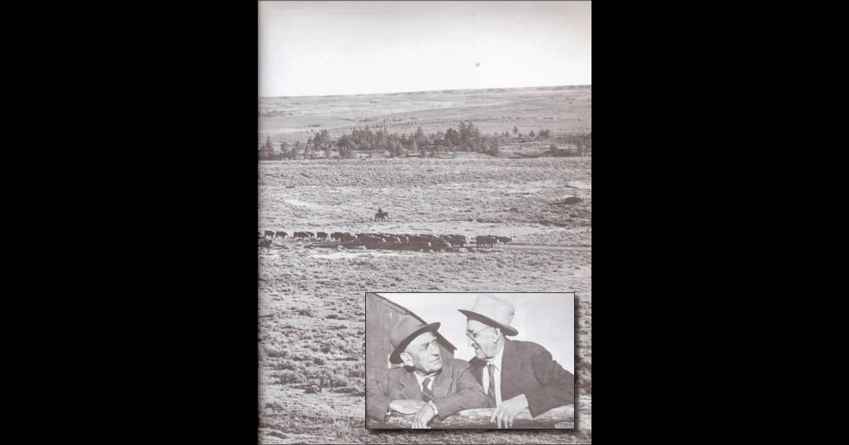 Miller Brothers Land & Livestock