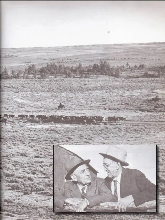 Miller Brothers Land & Livestock