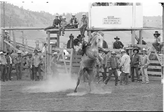 Warrick Rodeo