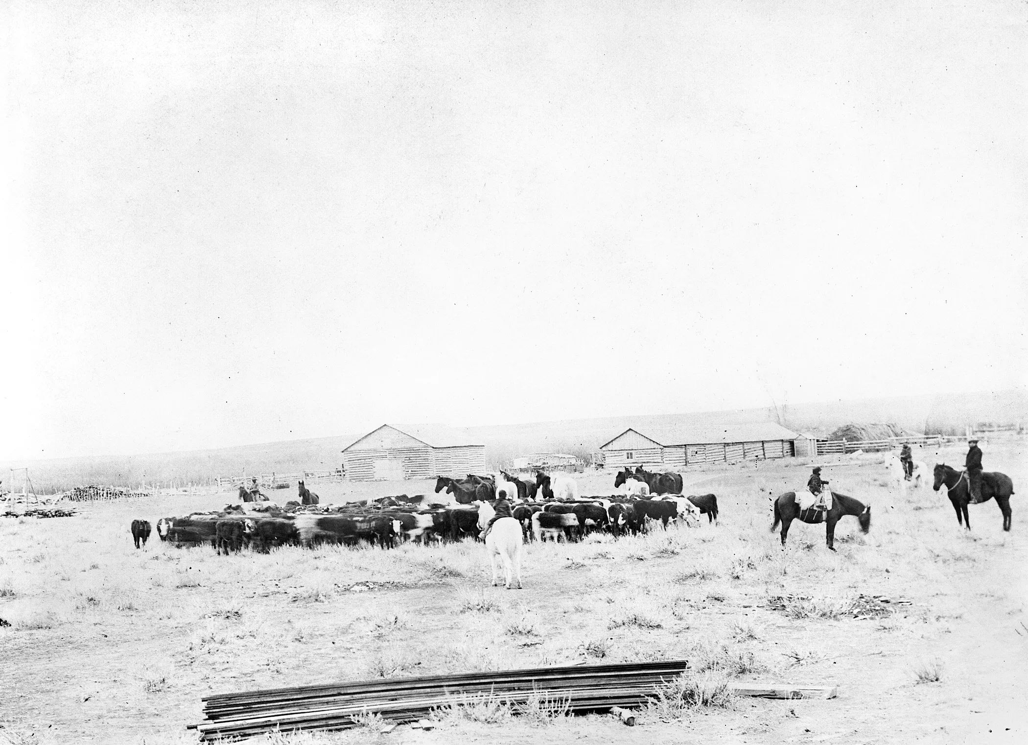 Circle C Ranch