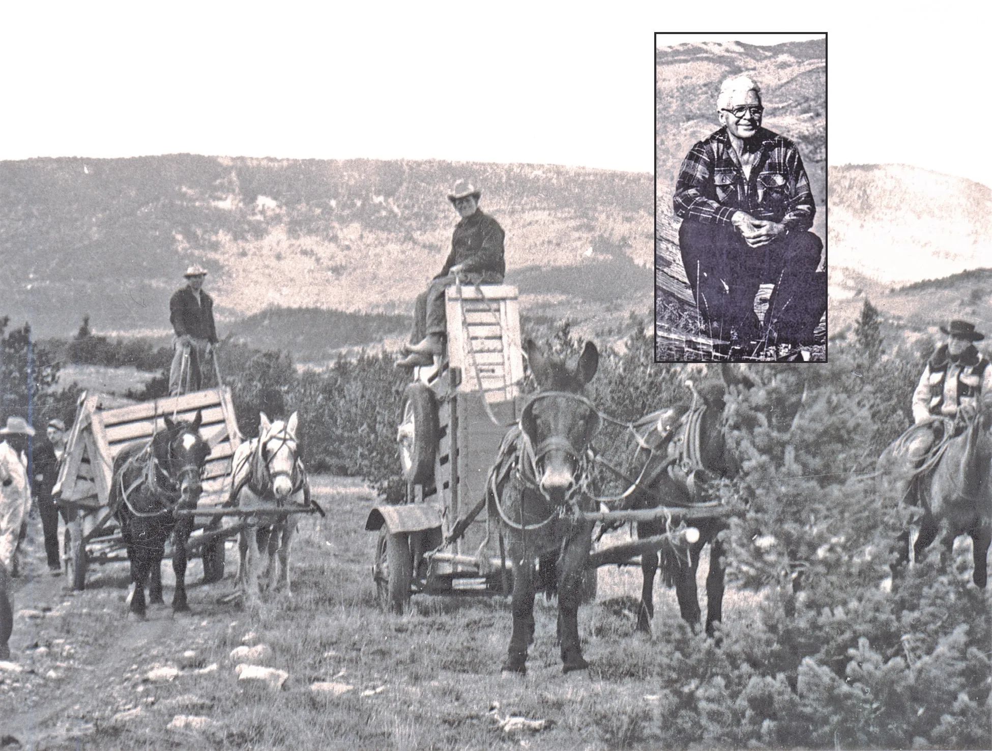 Robert F. "Bob" Cooney