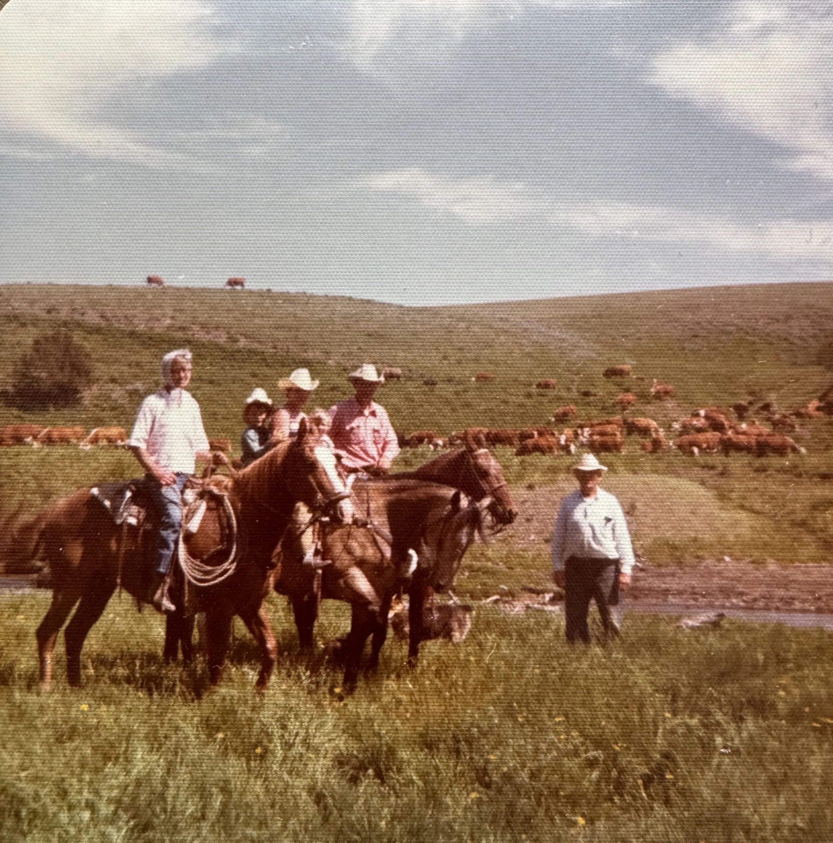 Brainard Ranch