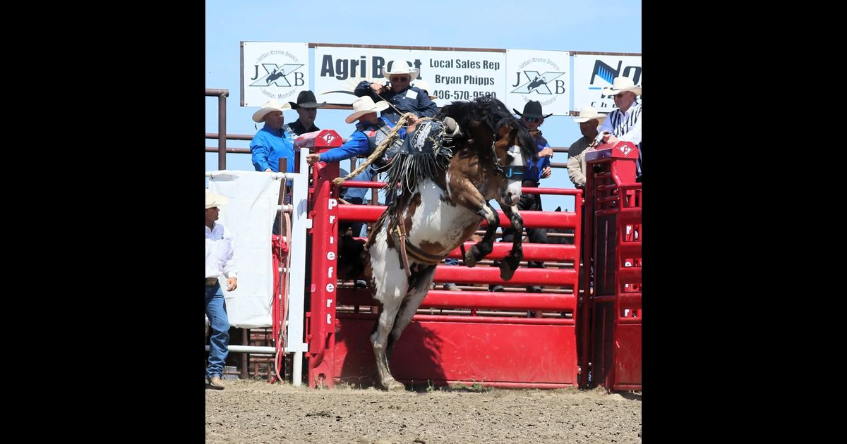 Jordan Matched Bronc Ride
